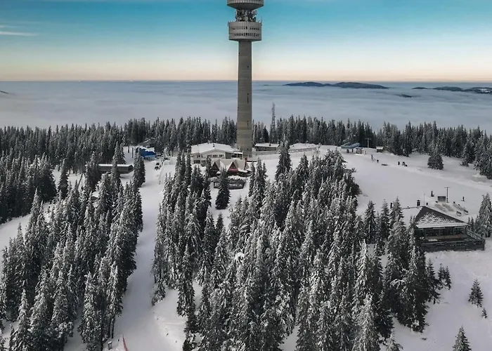 Jmn Apartment Pamporovo